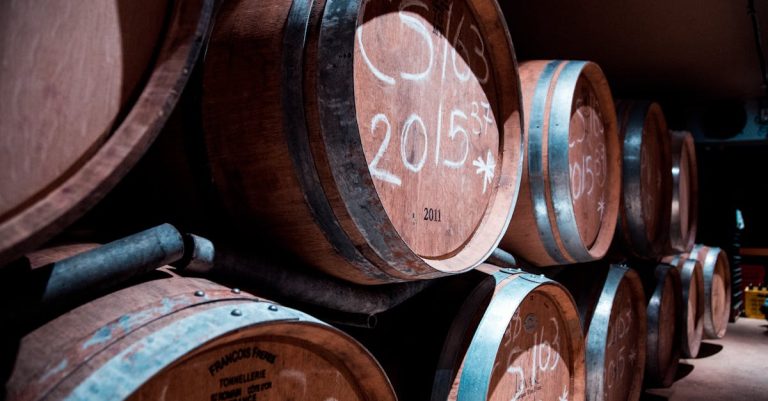 Les Secrets Révélés de la Vinification des Vins Primeurs 2023 : Tradition et Innovation